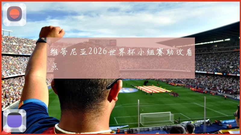 维蒂尼亚2026世界杯小组赛助攻看点