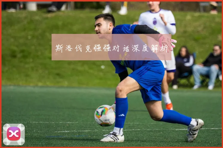 斯洛伐克强强对话深度解析