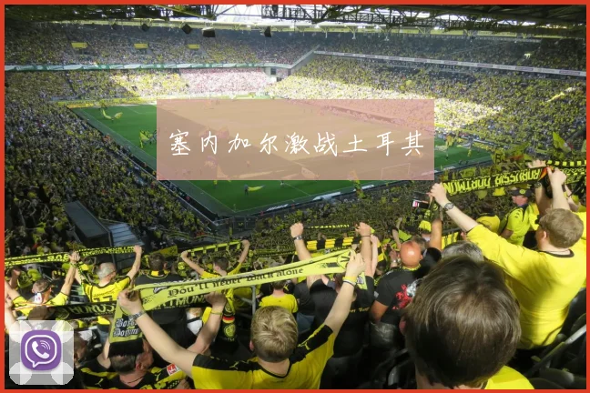 塞内加尔激战土耳其