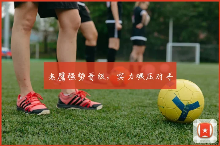 老鹰强势晋级，实力碾压对手