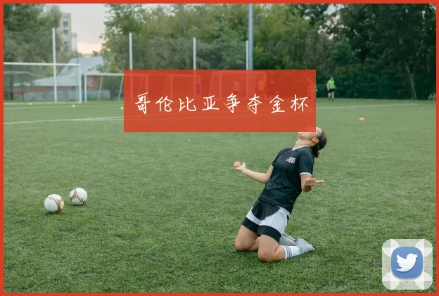 哥伦比亚争夺金杯