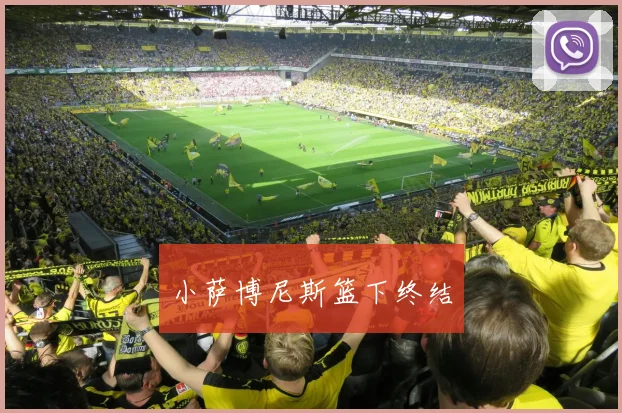 小萨博尼斯篮下终结