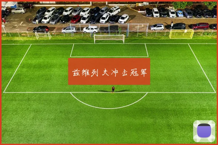 兹维列夫冲击冠军