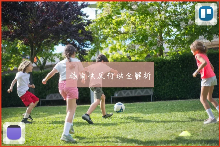 越南快反行动全解析