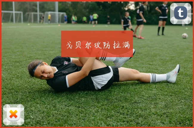 戈贝尔攻防拉满