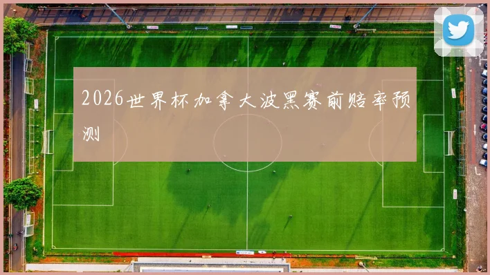 2026世界杯加拿大波黑赛前赔率预测