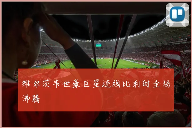 维尔茨韦世豪巨星连线比利时全场沸腾