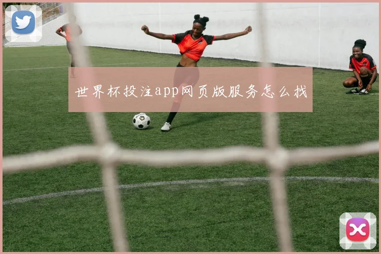世界杯投注app网页版服务怎么找