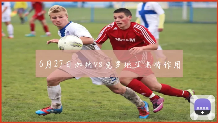 6月27日加纳vs克罗地亚老将作用