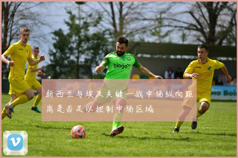 新西兰与埃及关键一战中场纵向距离是否足以控制中场区域