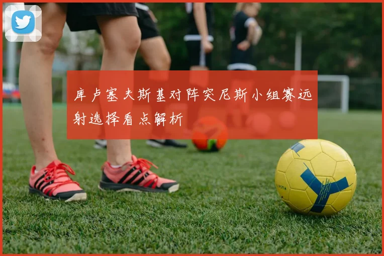 库卢塞夫斯基对阵突尼斯小组赛远射选择看点解析